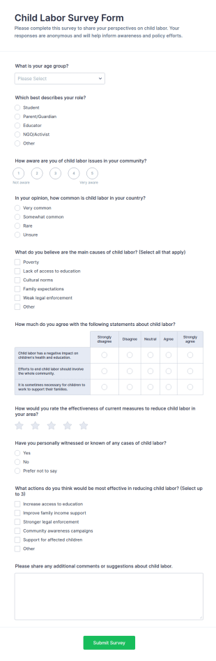 Child Labor Survey Form Template