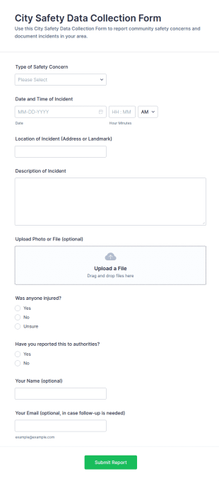 City Safety Data Collection Form Template