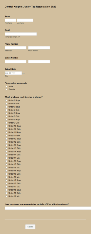 Esports Junior Tag Registration Form Template