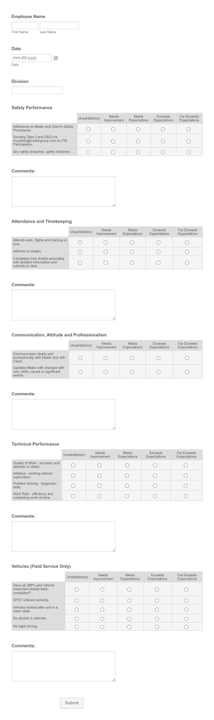 CLEAN TEAM Annual Performance Review Self Evaluation Form Template