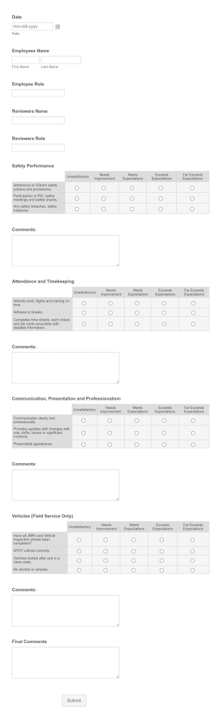 CLEAN TEAM Performance Review Client Form Template