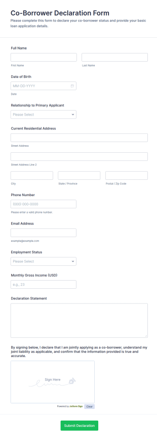 Co Borrower Declaration Form Template