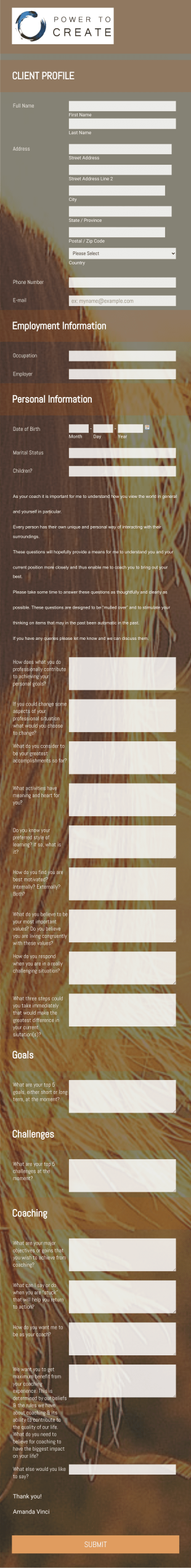 Coaching Questionnaire AmandaV Form Template