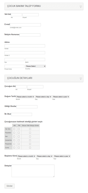 Çocuk Bakım Talep Form Şablonu