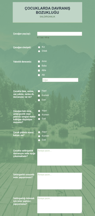 Çocuklarda Davranış Bozukluğu (Saldırganlık) Form Şablonu