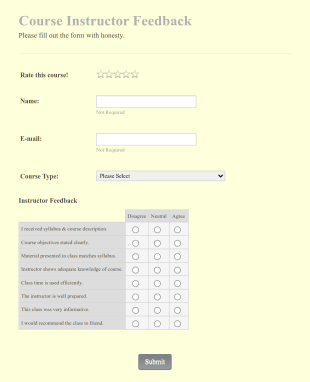 College Course Feedback Form Instructor