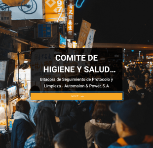 Comite De Higiene Y Salud Ap Form Template