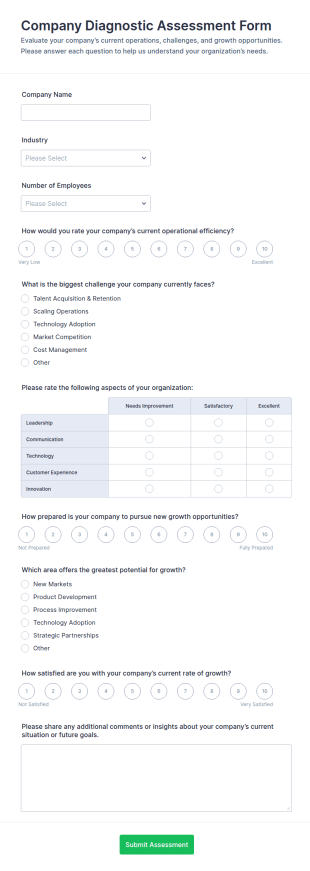 Company Diagnostic Assessment Form Template