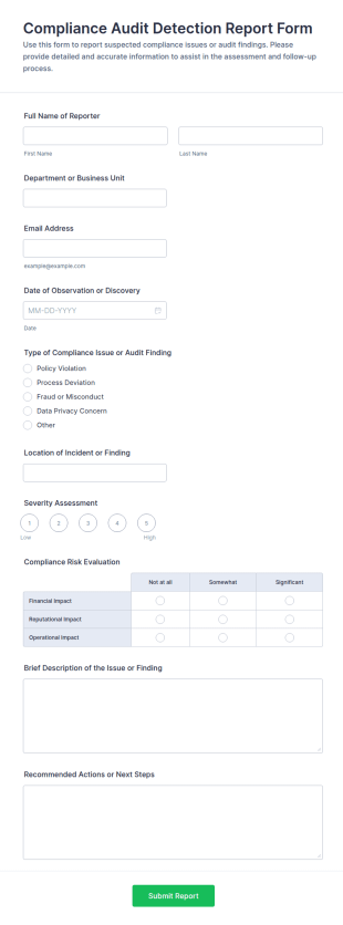 Compliance Audit Detection Report Form Template