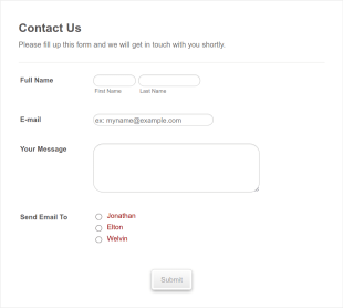 Contact A Person Form Template