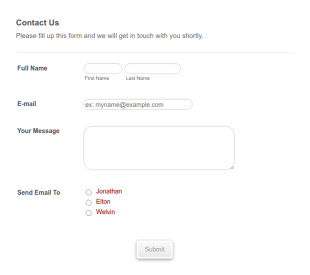 Contact A Person Form Template
