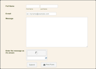 Blue Themed Contact Us Form Template