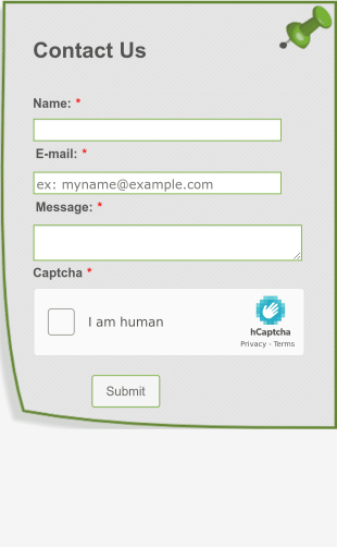 Contact Us Form Pin Theme With Captcha Form Template