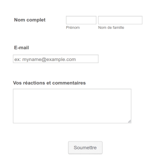 Contactez Nous Formulaire En Français Form Template