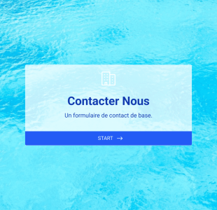 Contactez Nous Formulaire En Français Form Template
