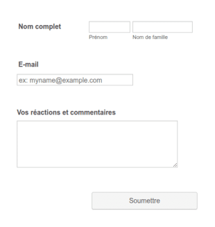 Contactez Nous Formulaire En Français