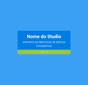 Contrato Para Mini Sessão De Natal Form Template