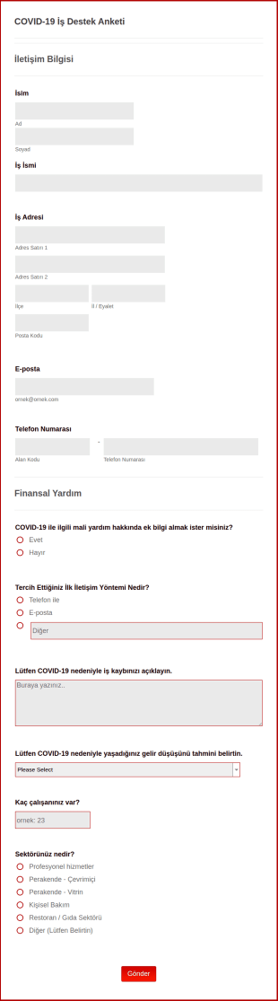 COVID 19 İş Destek Anketi Form Şablonu