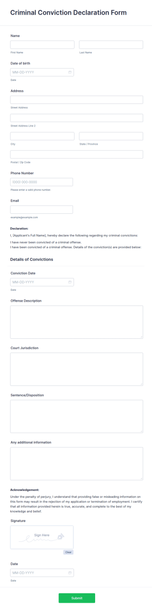 Criminal Conviction Declaration Form Template