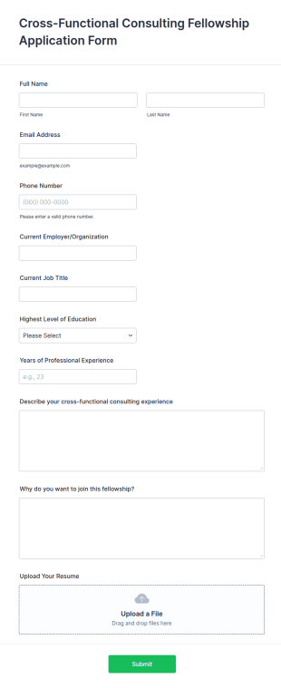 Cross Functional Consulting Fellowship Application Form Template