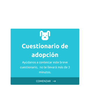Cuestionario De Adopción De Animales Form Template