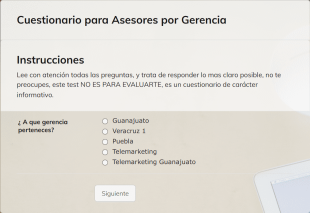 Cuestionario De Evaluación De Asesores De Gerencias Form Template