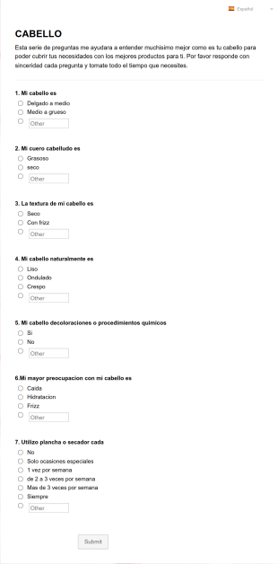 Cuestionario Para El Cabello