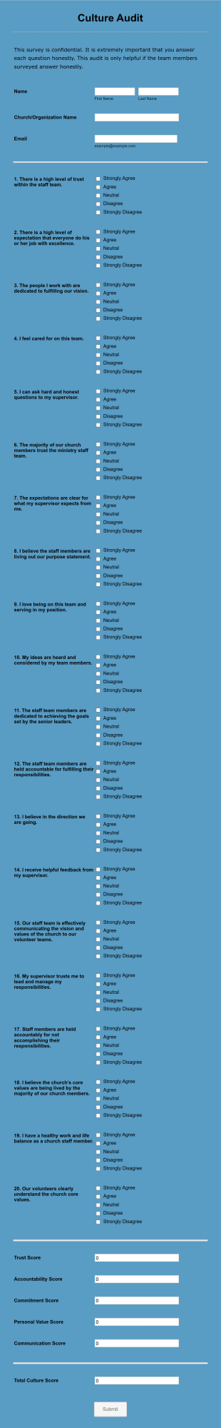 Culture Audit Form Template