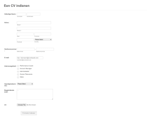 Curriculum Vitae Verzamelingsformulier Form Template