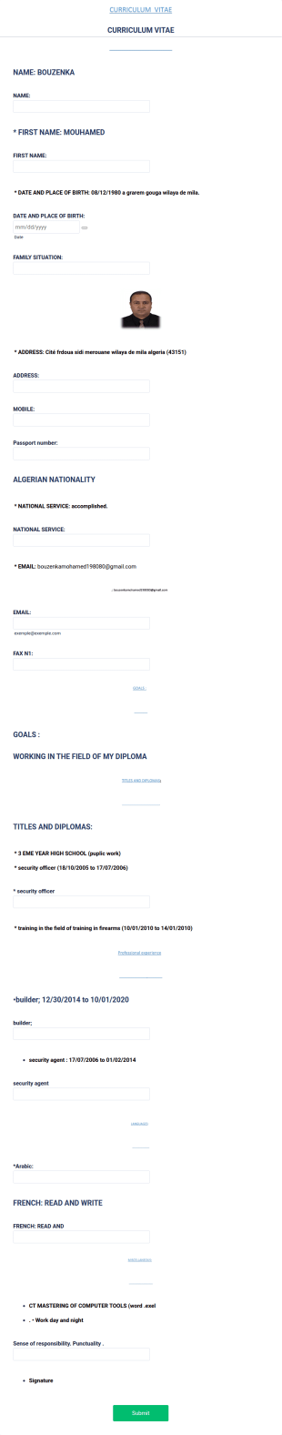 Curriculum Vitae Form Template