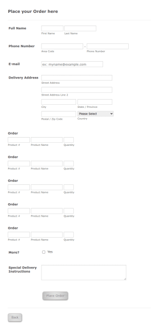 Custom Order Form Template