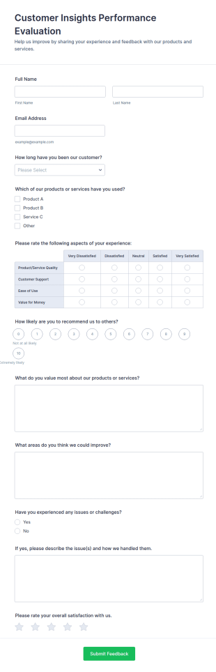 Customer Insights Performance Evaluation Form Template