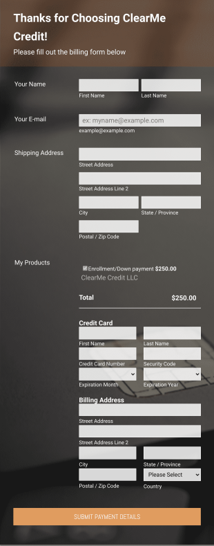 Customer Invoice Form Template