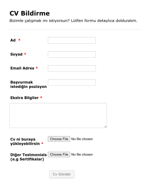 CV Başvuru Form Şablonu