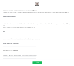 Cv , Nabil Form Template