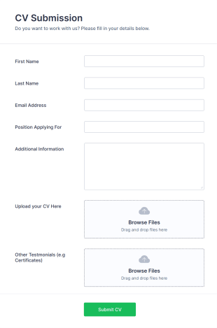 CV Application Form Template