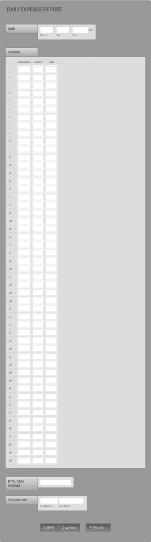 Daily Expense Report Form Template