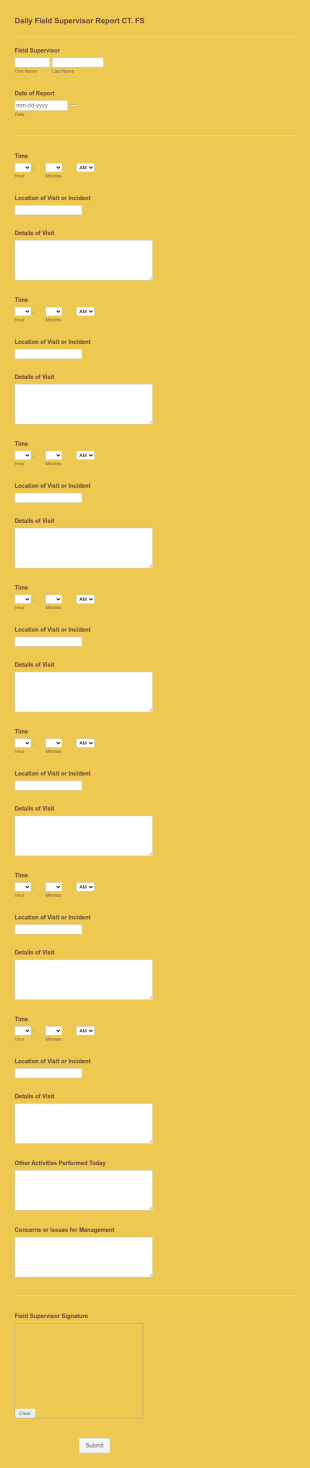 Daily Field Supervisor Report CT. FS Form Template