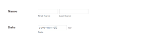 Daily Plan Form Template