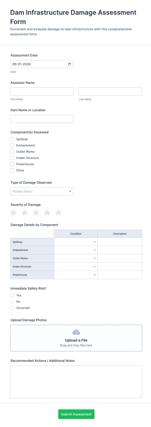 Dam Infrastructure Damage Assessment Form Template