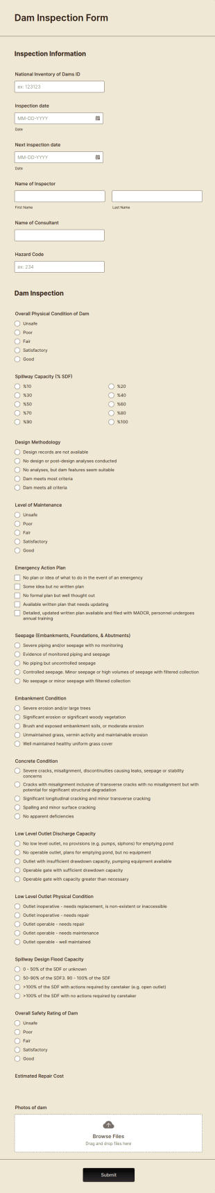 Dam Inspection Form Template