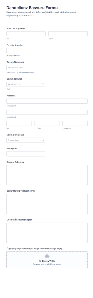 Dandelionz Başvuru Form Şablonu