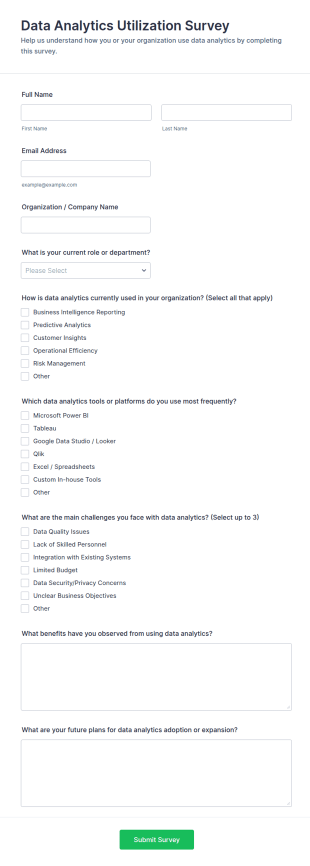 Data Analytics Utilization Survey Form Template