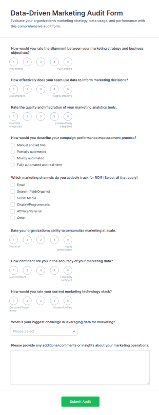 Data Driven Marketing Audit Form Template
