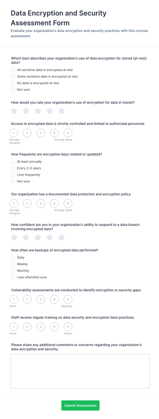 Data Encryption And Security Assessment Form Template