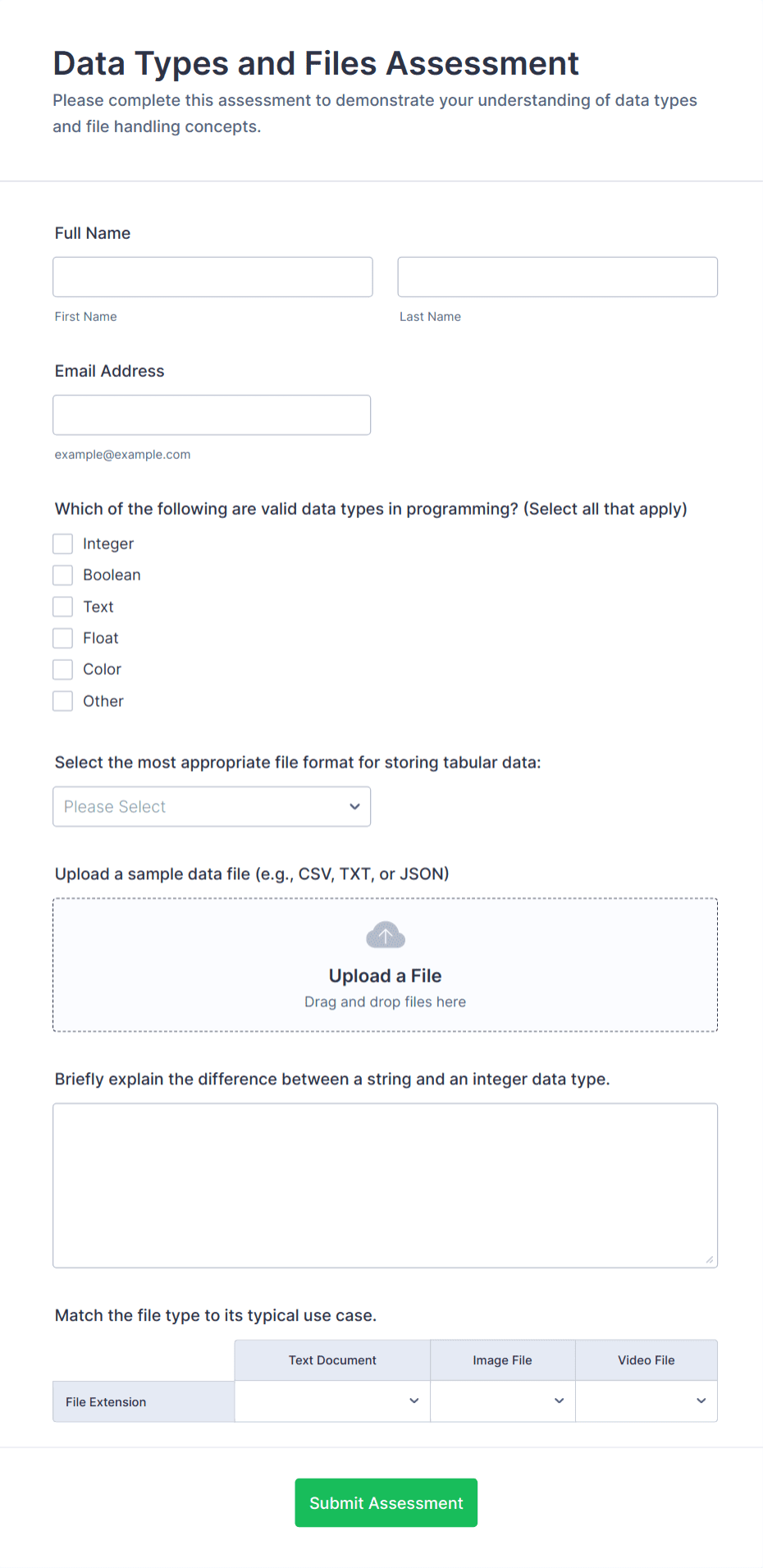 Data Types and Files Assessment Form Template | Jotform
