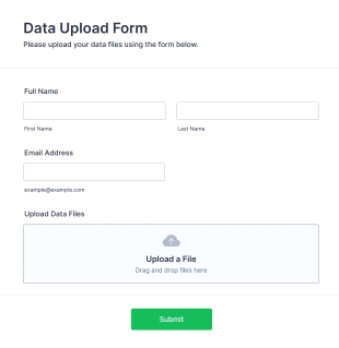 Data Upload Form Form Template