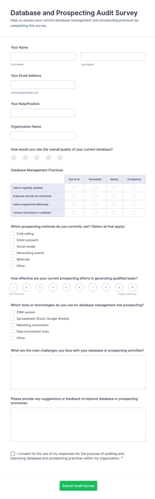 Database And Prospecting Audit Survey Form Template