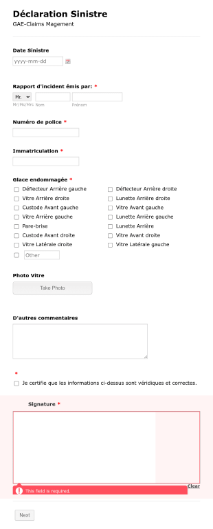 Déclaration De Sinistre Bris De Glace Automobile Form Template