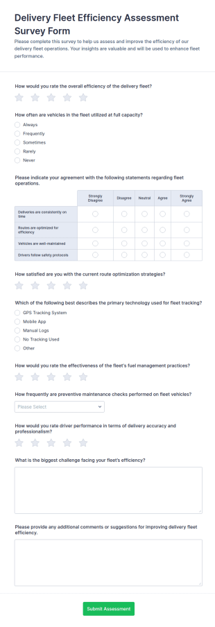 Delivery Fleet Efficiency Assessment Form Template
